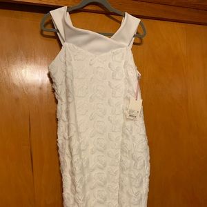 Alex Marie dress NWT